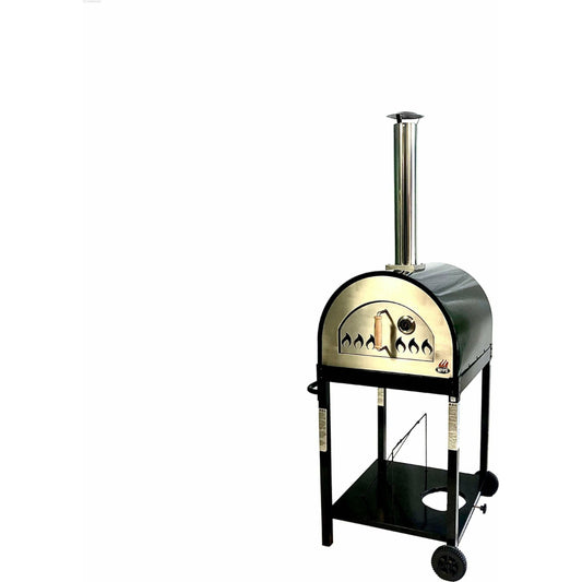 Wood & Gas Fired Pizza Oven